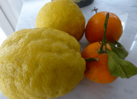 Screen Shot 2018-02-04 at 3.46.48 PM.png